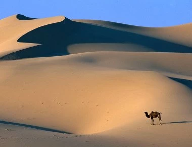 Δείτε γιατί η έρημος είναι η τελευταία ελπίδα της ανθρωπότητας για επιβίωση